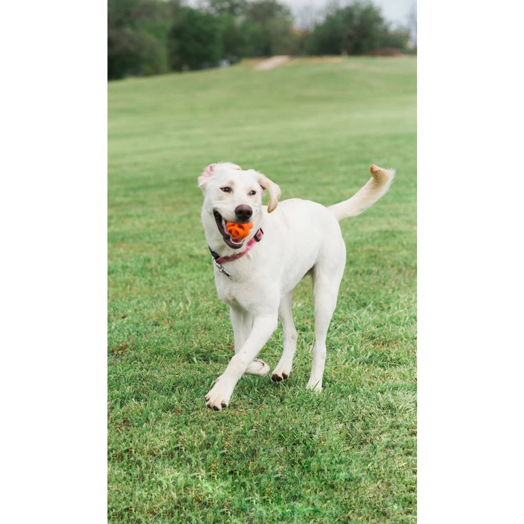 Chuckit! Air Fetch Ball Medium 1er Pack