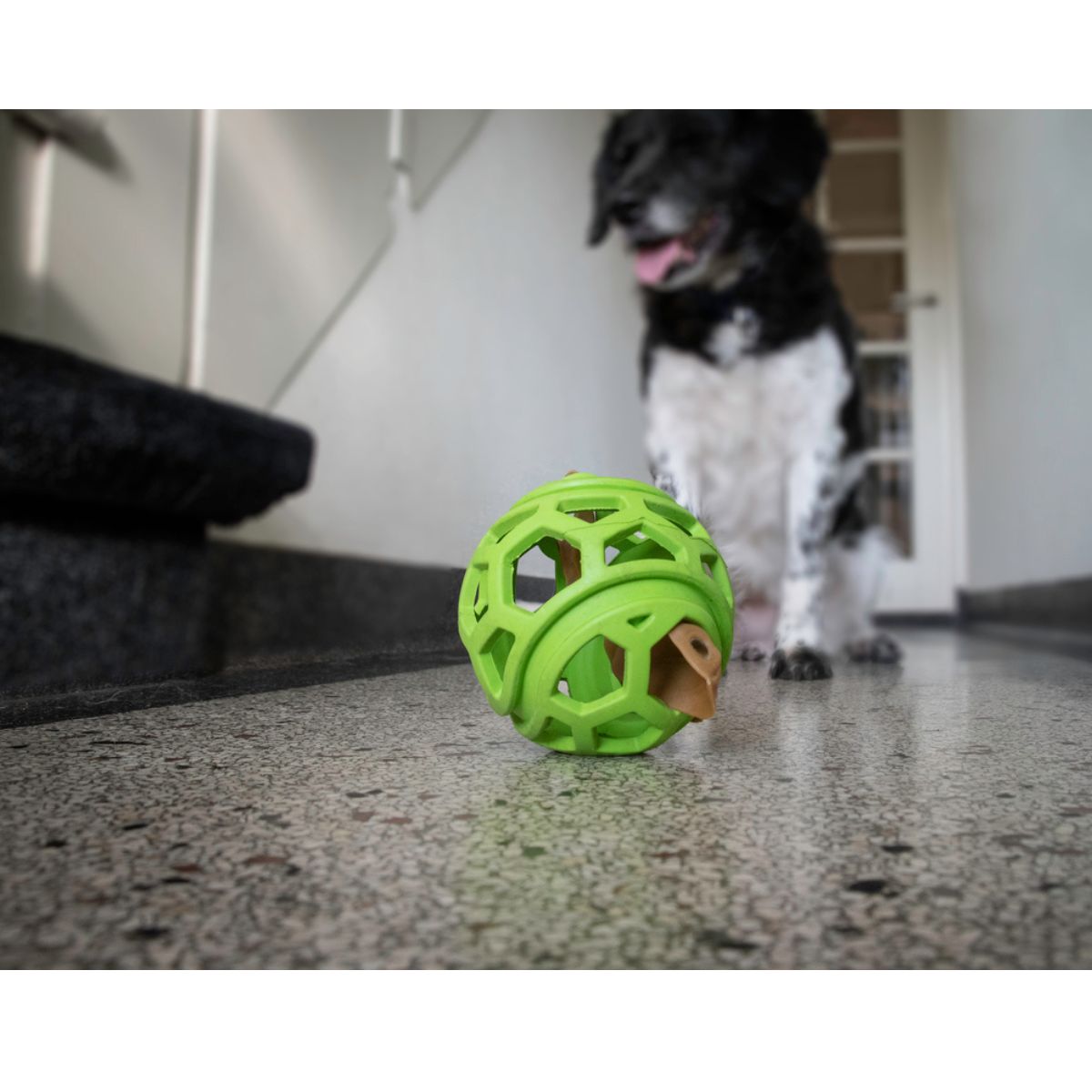 Dog Comets Titan M 11,5 cm