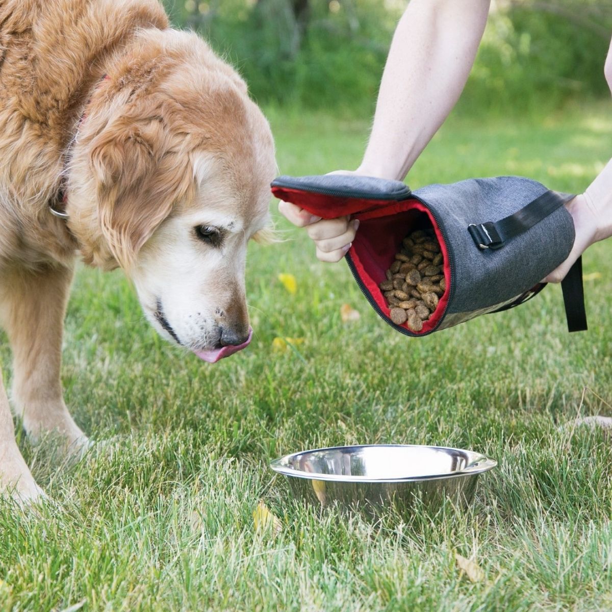 KONG Kibble Storage Bag, Tasche für Trockenfutter