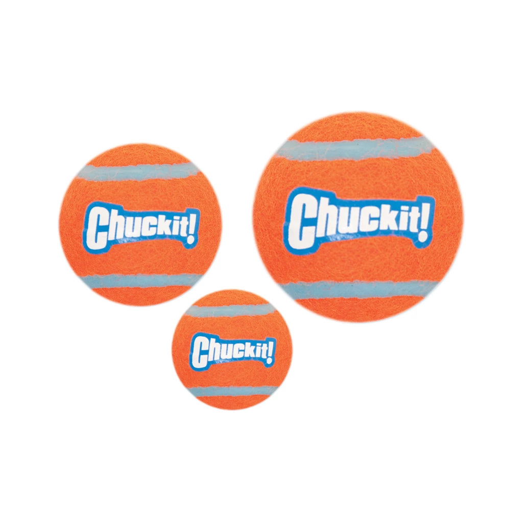Chuckit Tennis Ball, Ball zum Apportieren für Hunde, Größe M, 4er Pack
