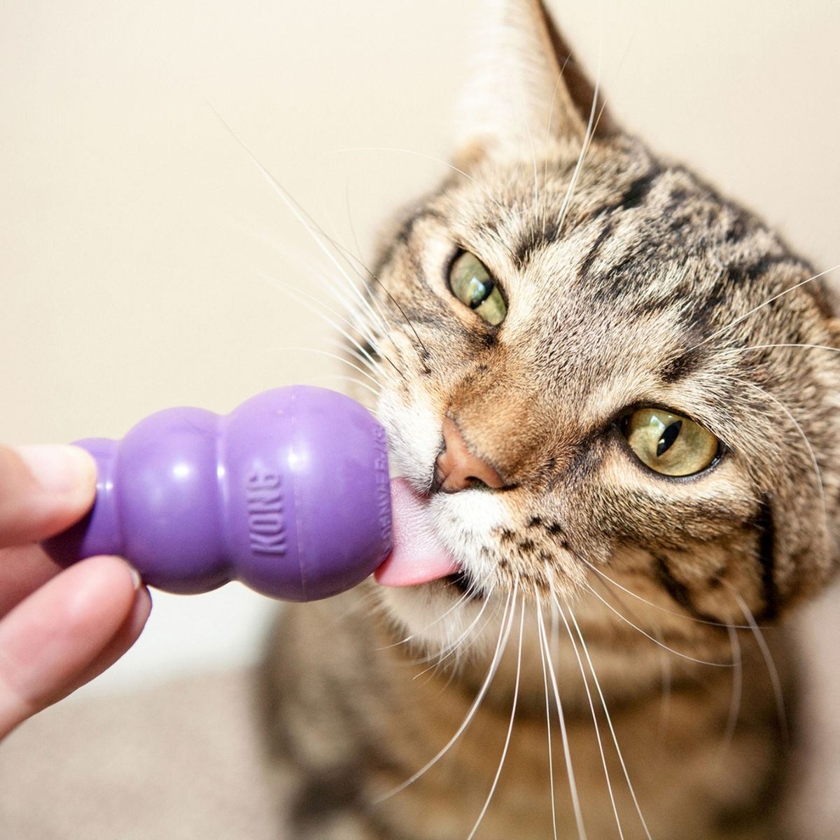 KONG Cat Kitty KONG, Jagdspielzeug für Katzen