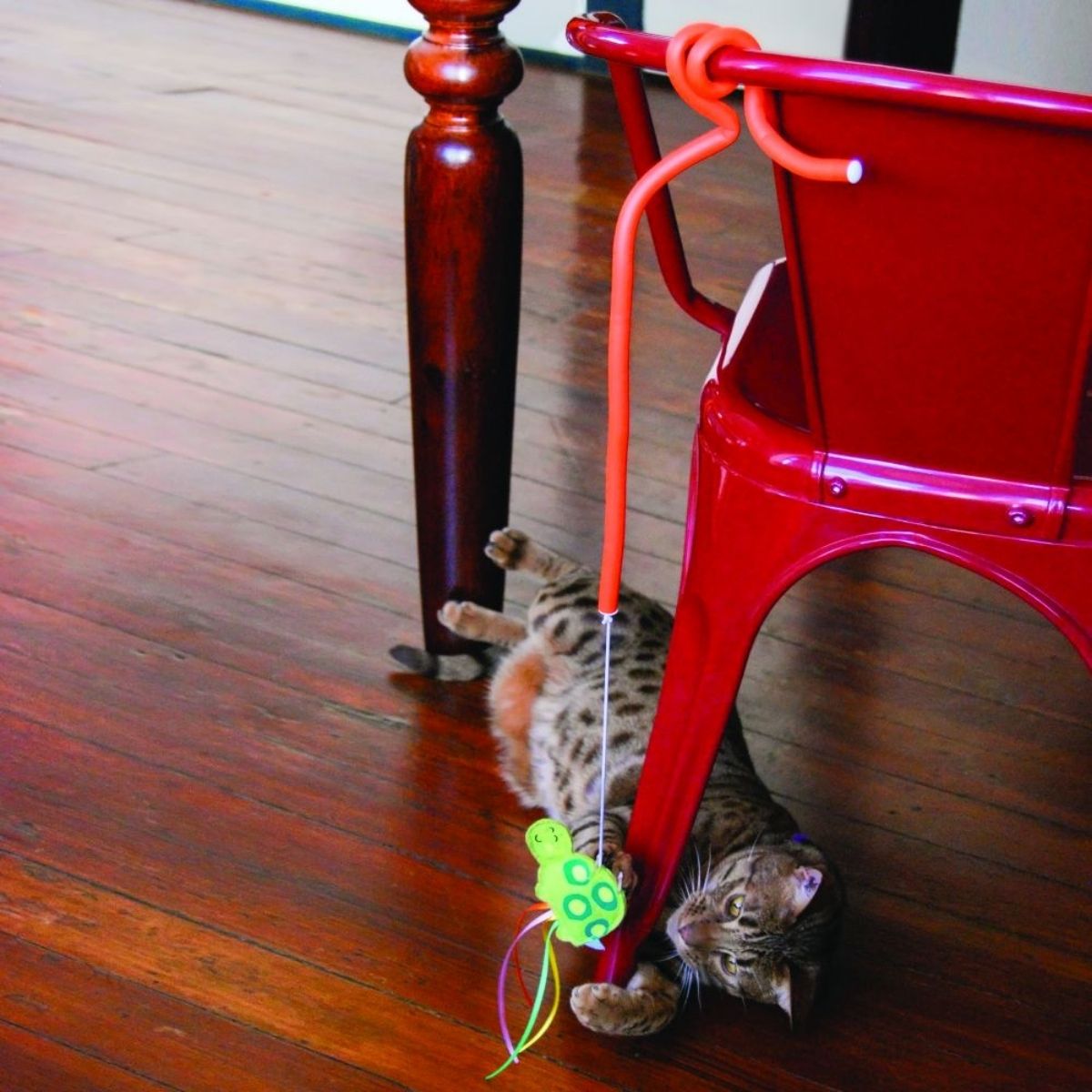 KONG Cat Connects Benderz Teaser Dragonfly, Jagdspielzeug für Katzen