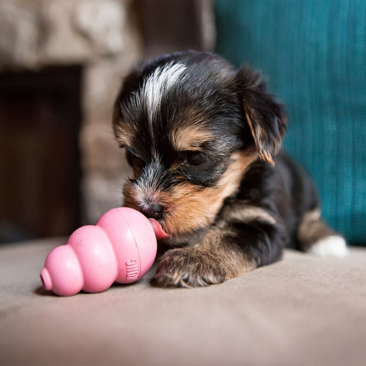 KONG Puppy (XS), 5,7 cm