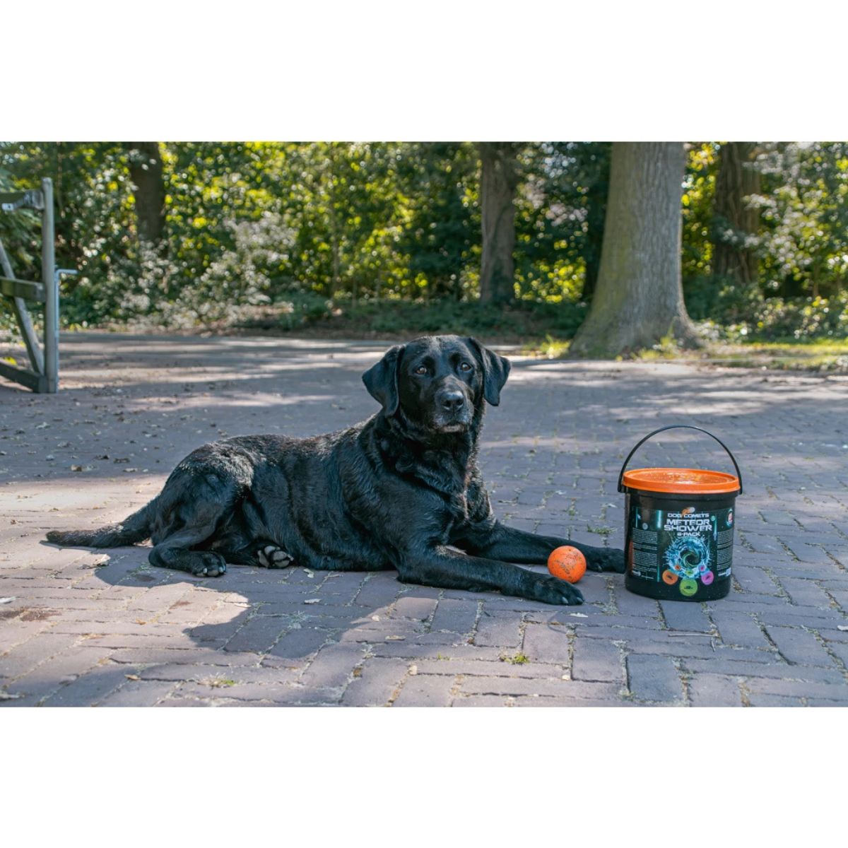 Dog Comets Meteor Shower (Eimer mit 6 M Stardust-Spielbällen)