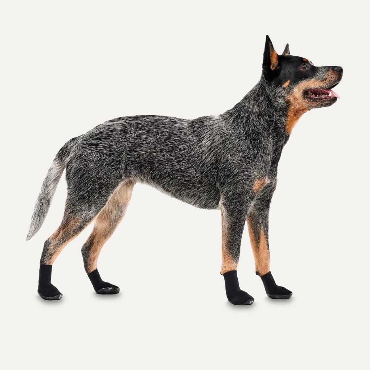 Goo-eez Dog Boots Ultras 2-er Pack Schwarz Hundeschuhe
