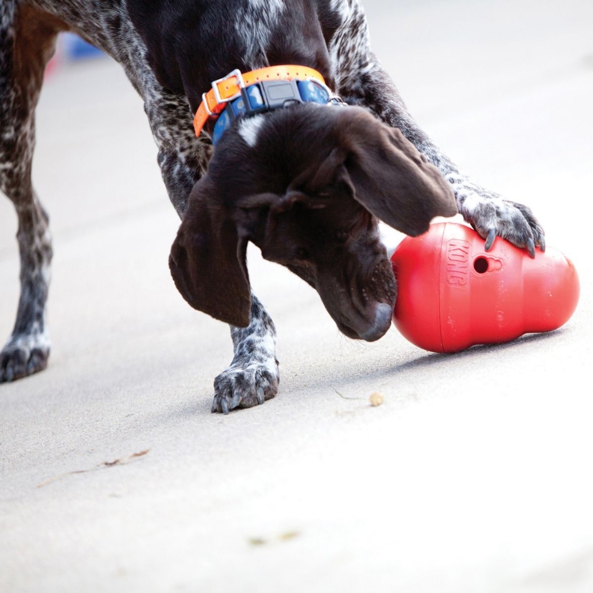 KONG Wobbler (L) 19 cm