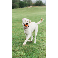 Chuckit! Air Fetch Ball Medium 1er Pack
