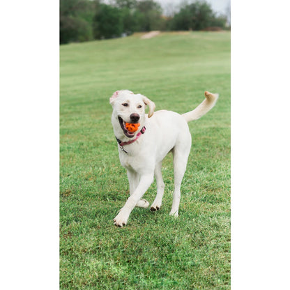 Chuckit! Air Fetch Ball Medium 1er Pack