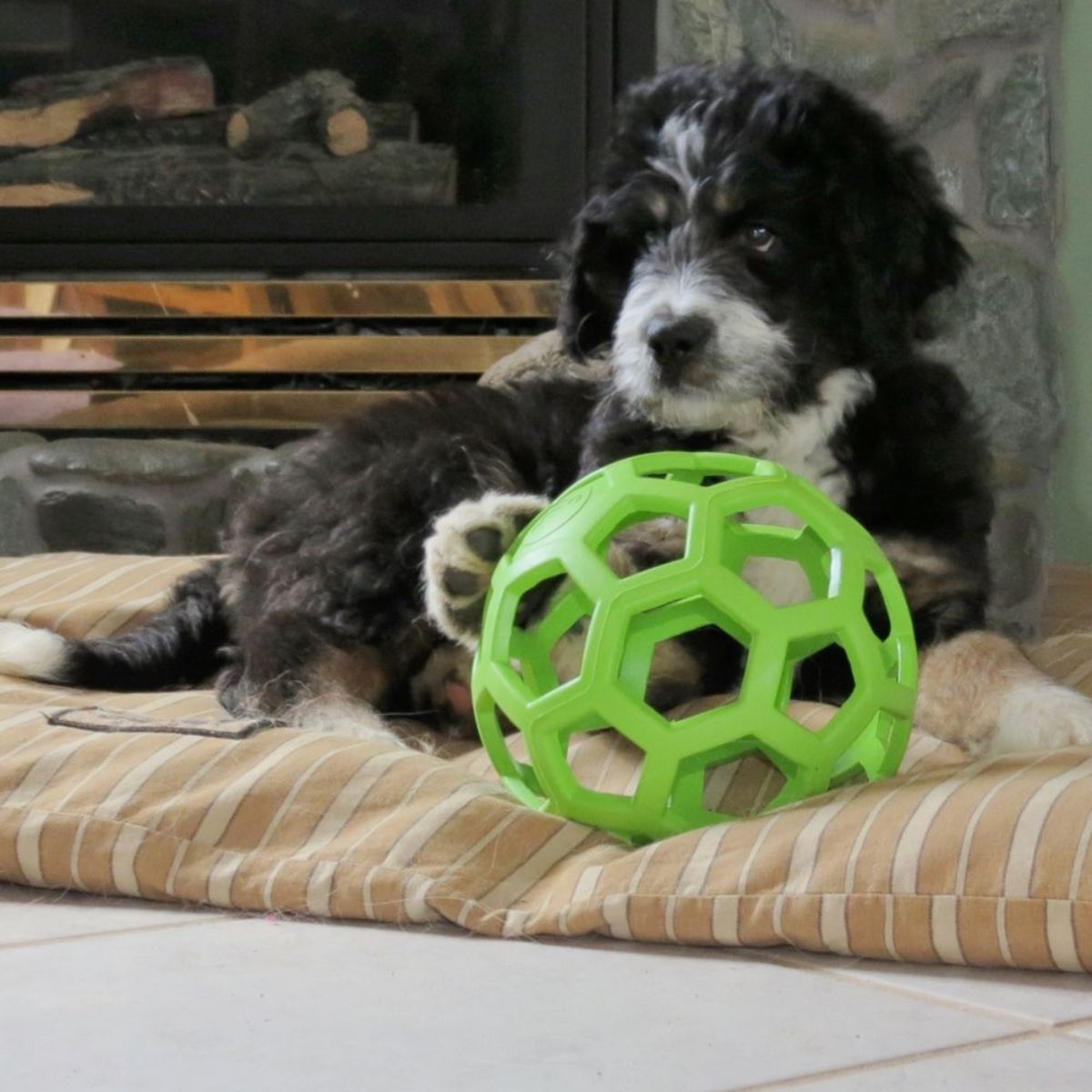 JW Hol-ee Roller, Hunde Ball für Leckerlis