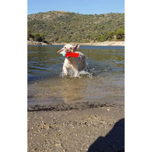 Chuckit! Amphibious Bumper Small