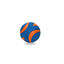 Chuckit! Ultra Squeaker Ball XL 1er-Pack