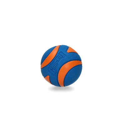 Chuckit! Ultra Squeaker Ball XL 1er-Pack