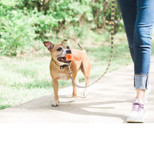 Chuckit! Air Fetch Stick