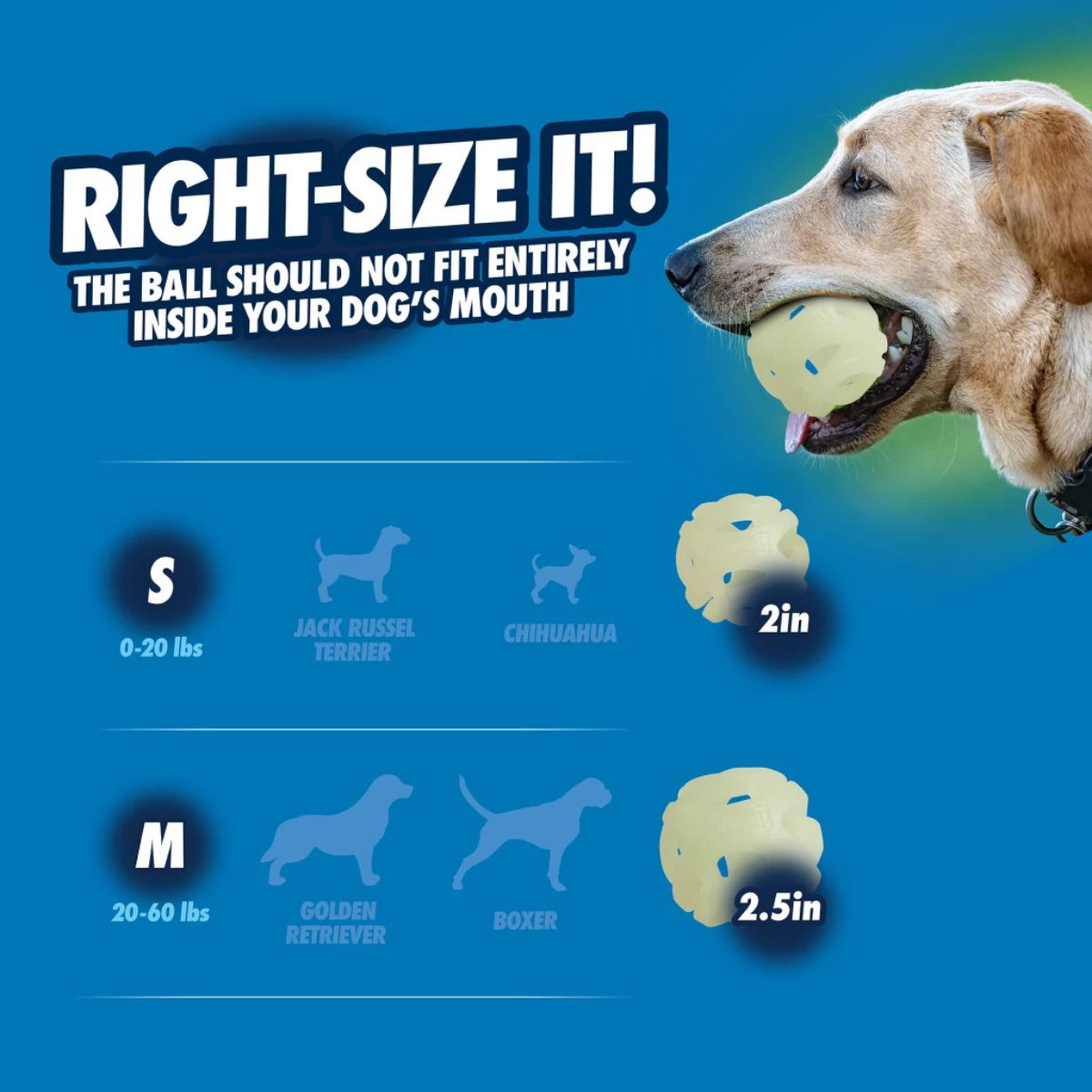 Chuckit! Air Glow Fetch Ball