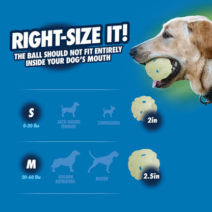 Chuckit! Air Glow Fetch Ball