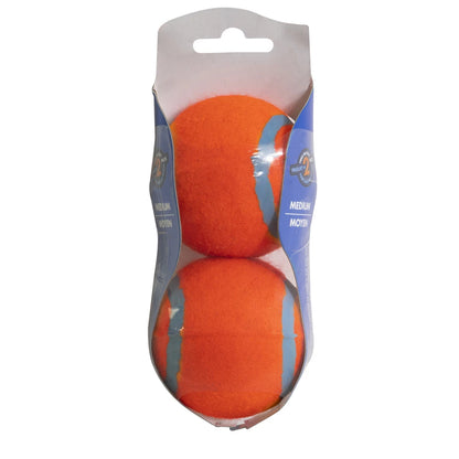 Chuckit Tennis Ball, Ball zum Apportieren für Hunde, Größe M, 2er Pack