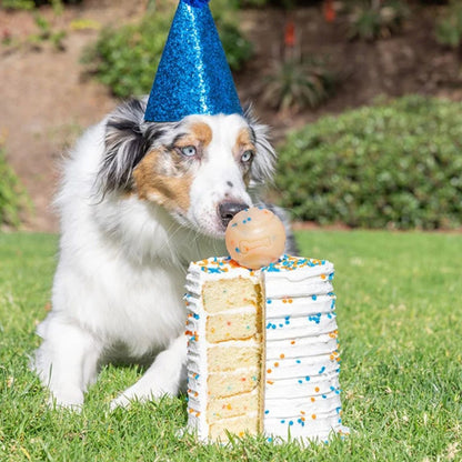 Chuckit! Birthday Fetch Ball M, Geburtstags-Spielball für Hunde
