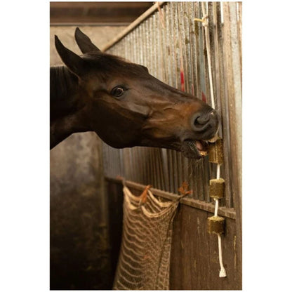 Lax Luzerne an Spielseil für Pferde 2er Pack