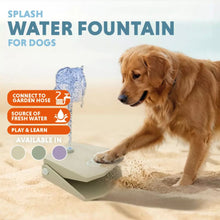 Coolpets Splash Water Fountain Wasserbrunnen