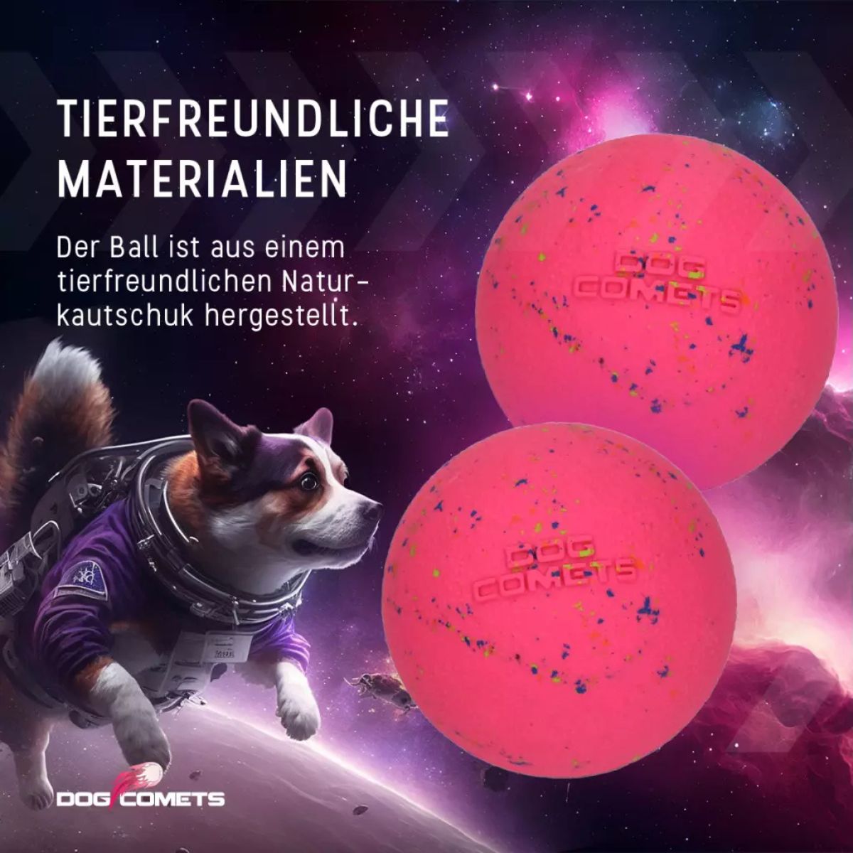 Dog Comets Stardust L