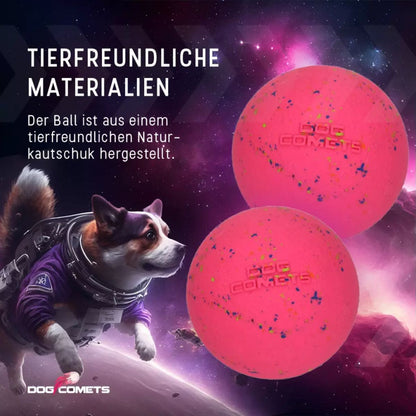 Dog Comets Stardust L