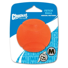 Chuckit Fetch Ball, Ball zum Apportieren für Hunde, Größe M, 1er Pack