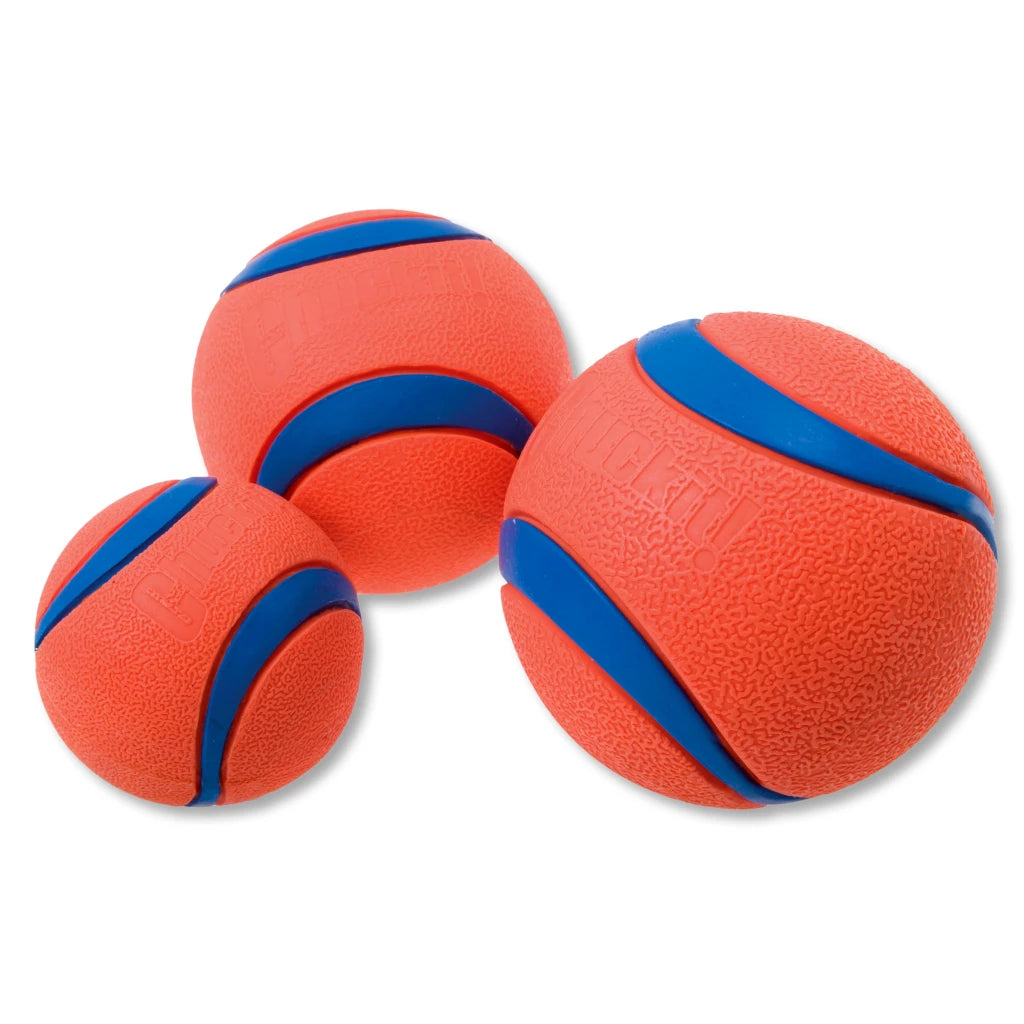 Chuckit Ultra Ball Medium 6 cm 2er Pack