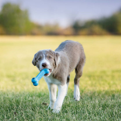 KONG Puppy Goodie Bone (S), Spielzeug-Knochen für Welpen