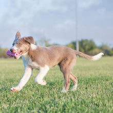 KONG Puppy Teething Stick (S), Spielzeug-Kauknochen für Welpen
