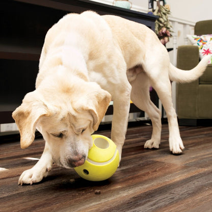 KONG Rewards Tennis Hundespielball (L) zum Befüllen mit Leckereien