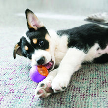 KONG Squeezz Action Red (L), Apportier-Ball für Hunde