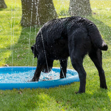 CoolPets Splash Pool Wasserfontäne