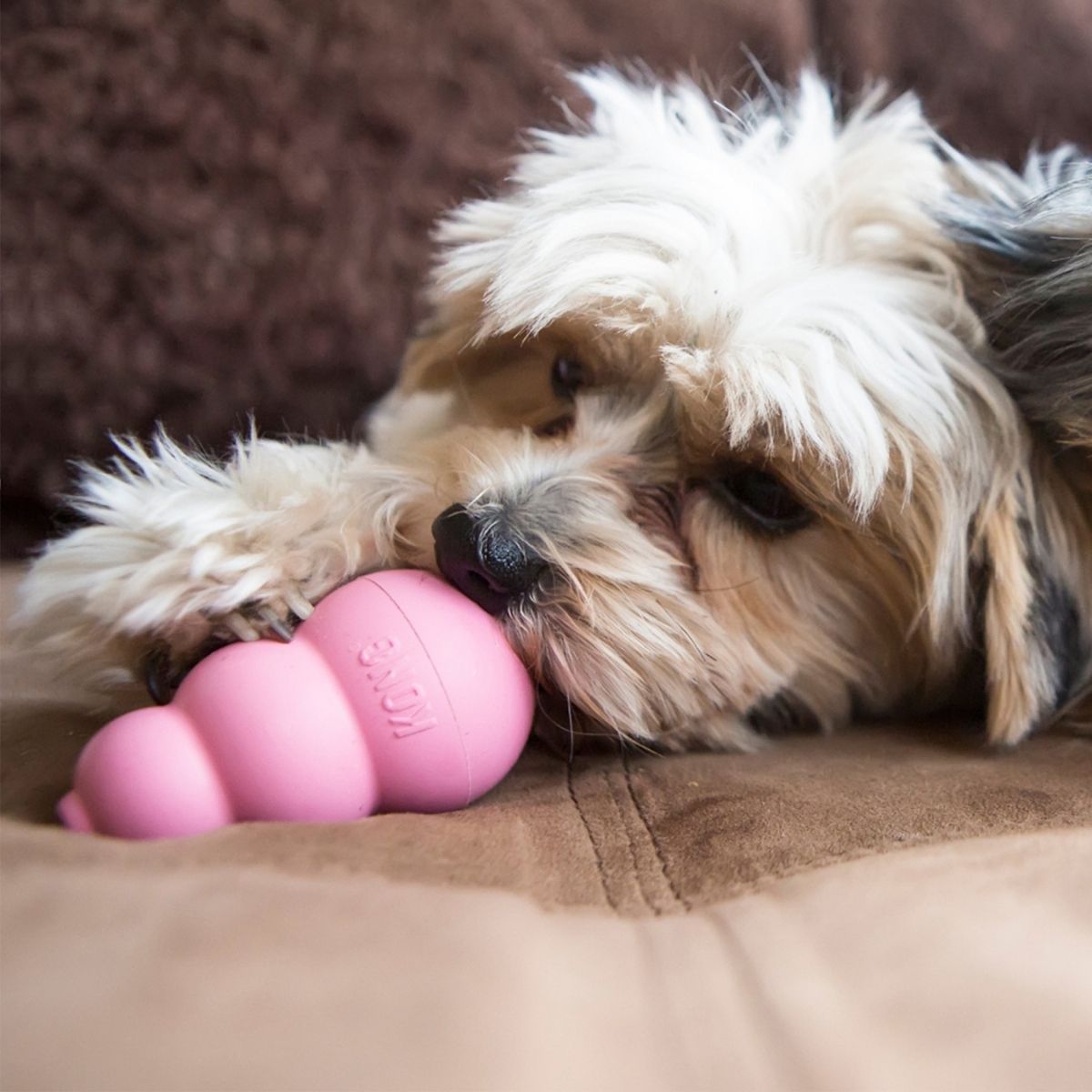 KONG Puppy (S), 7,6 cm