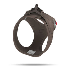 Curli Vest Hundegeschirr curli Clasp Schnalle Air-Mesh Brown (Braun)