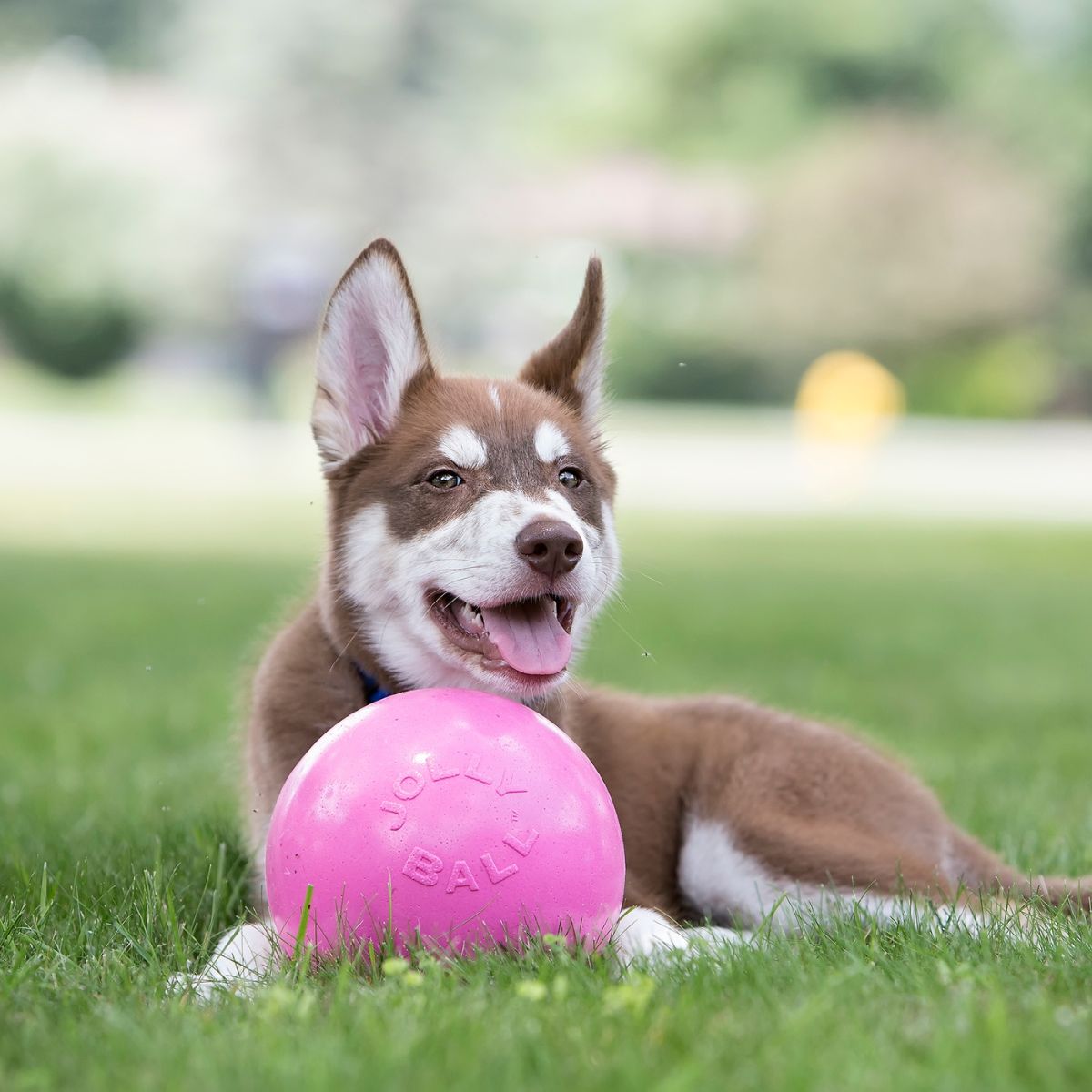 Jolly Ball Bounce-n Play 11cm Rosa (Kaugummi Duft)