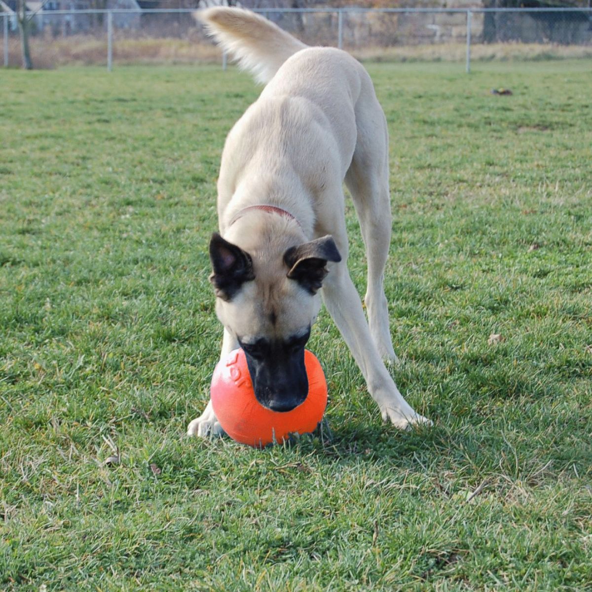 Jolly Ball Bounce-n Play 15cm Orange