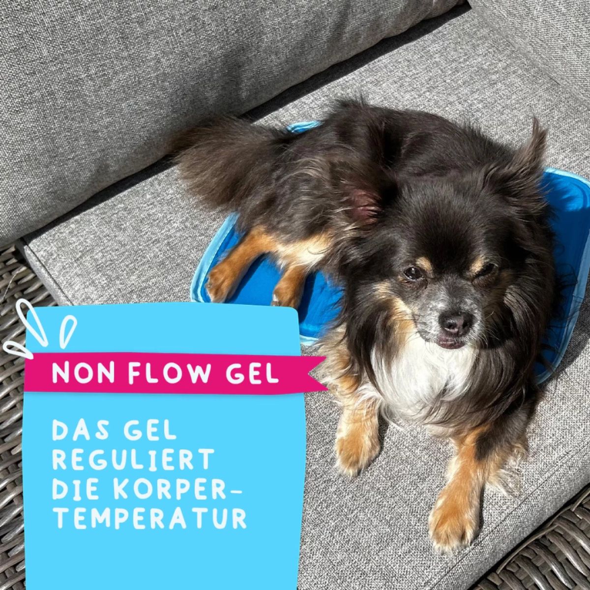 CoolPets Premium Gel Cooling Mat