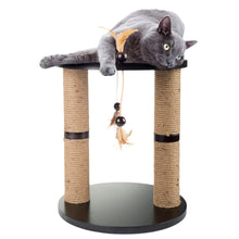 AFP Classic Comfort Kratzbaum, 2 Stämme und Spielzeug
