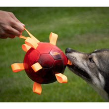 Dog Comets Hypernova Orange, Ball zum Apportieren