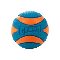 Chuckit Ultra Squeaker Ball Medium 6 cm 2er-Pack