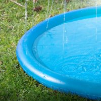 CoolPets Splash Pool Wasserfont&auml;ne