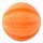 Dog Comets Ball Swift Tuttle Orange
