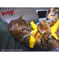 Yeowww Chicata Banana, Banane mit Katzenminze